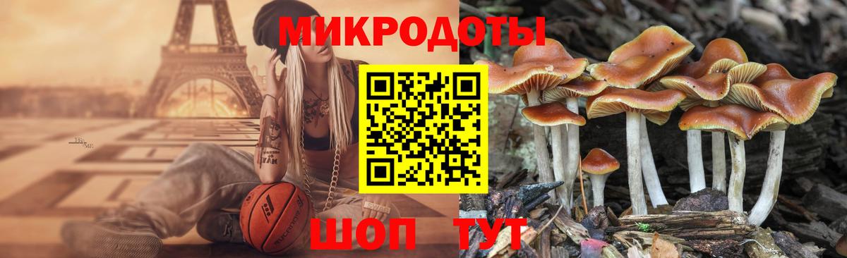 Псилоцибиновые грибы ЛСД  Вход с VPN  Каменск-Шахтинский 